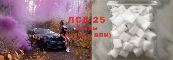 СК Белокуриха