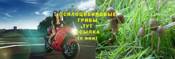 гашишное масло Беломорск