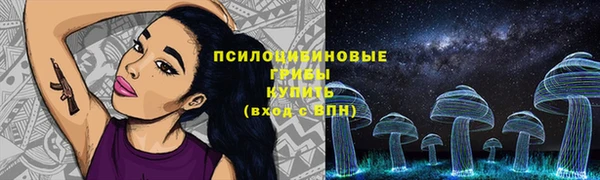 СК Белокуриха