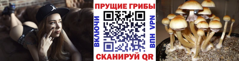 Псилоцибиновые грибы ЛСД  Корсаков 