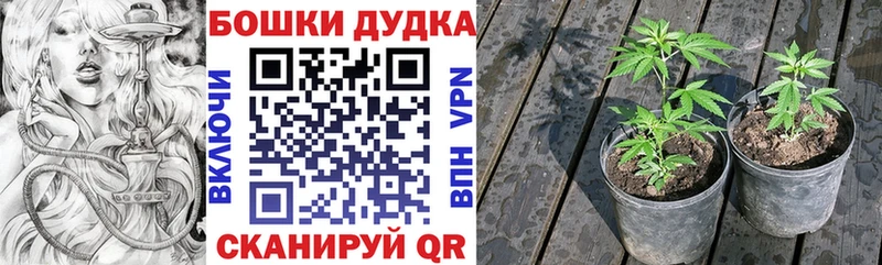 Бошки Шишки Ganja  Корсаков 